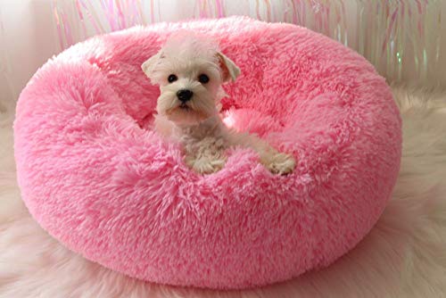 Lit de chien avec coin de canapé en mousse rose pour soulager les articulations