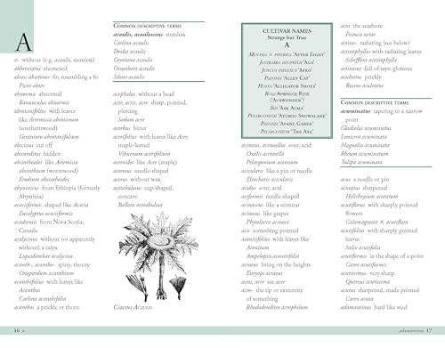 Plant Names Explained: Botanical Terms and Their Meaning - Image 5