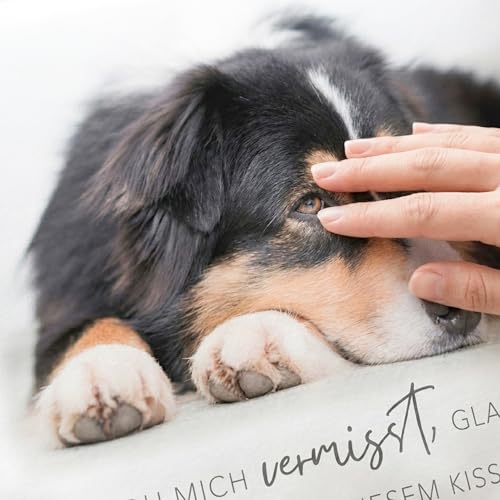 DEL MÀ Unique & Personal Andenken an verstorbenen Hund personalisiert Kissen mit Foto zur Erinnerung & Trauer Dekokissen mit Spruch Hundebesitzer Hundehalter Geschenk 40x40 cm inkl. Füllung
