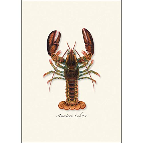 Image of Earth Sky + Water - Lobster Notecard Set - 8 Blank Cards with Envelopes