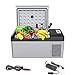 FYRMMD 1224V AC110V220V 15L Mini Nevera portátil Congelador Hogar Camping Coche Refrigerador con compresor Shock (Mini Nevera)