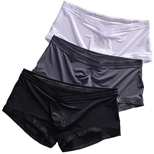 Evankin Mens Lace Boxer Briefs Sexy Translucent Underwear Ice Silk Seamless Lingerie Bulge Pouch