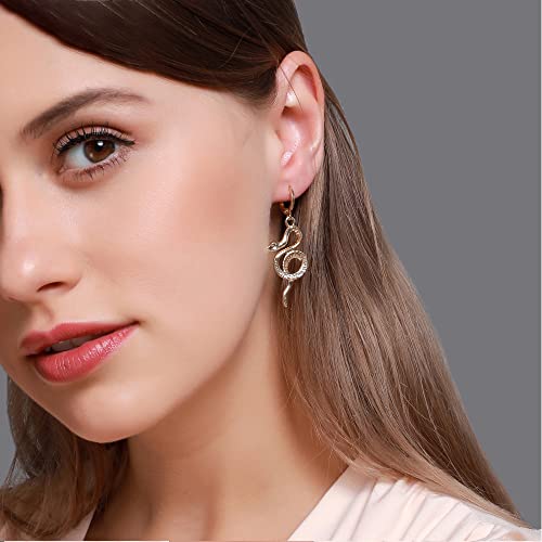 Csiyanjry99 Snake Earrings For Women Gothic Punk Hip Hop Personality Snake Stud Earrings Boho Beach Simple Delicate Handmade Hypoallergenic Jewelry Gift For Girls (Dg) #TOP5