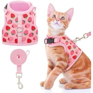 KUTKUT Cat Harness and Leash Set, Cats Escape Proof – Adjustable Kitten Harness for Small/Medium & Large Cats, Walking Travel Petsafe Harness (SIZE L, Adjustable Chest: 42cm – 45cm)