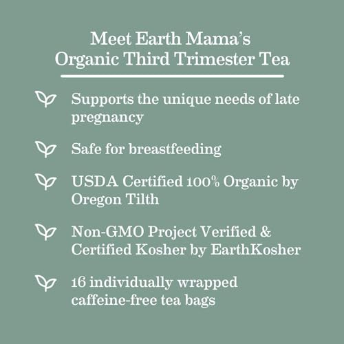 Earth Mama Organic Third Trimester Tea Bags | 100% USDA Organic Herbal Tea for Late Pregnancy Comfort + Childbirth Preparation, 16 Teabags Per Box (2-Pack)