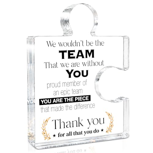 Team Appreciation Gifts Thank You Gift for Coworkers Colleagues Employees Boss Best Teams Ever Gifts We Wouldnt Be the Team We Are Without You Acrylic Puzzle Piece Plaque Office Decor