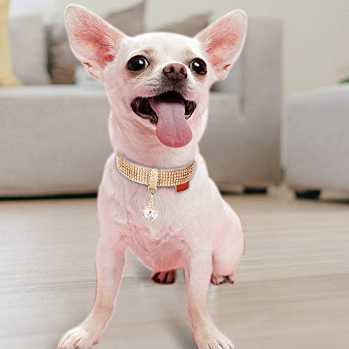 Image of Cat Collar, Dog Collar, [Bling Rhinestones] Adjustable Collars for Small Dog and Cat Small Gold