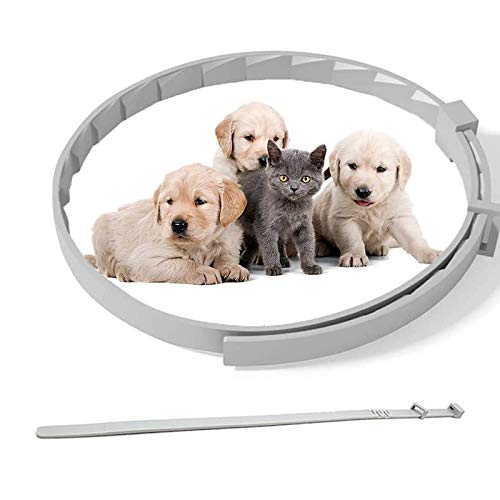 Amazon | 犬 猫用 天然 薬用 ノミ・ダニ予防 取り首輪 蚊よけ 効果8