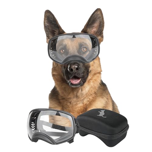 NAMSAN Clear Lens Goggles