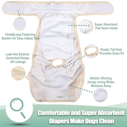 Image of wegreeco Washable Reusable Premium Dog Diapers, Pack of 3, Small Dog Puppy & Doggy Diapers Female, Dog Period Panties Diapers Female in Heat XXL