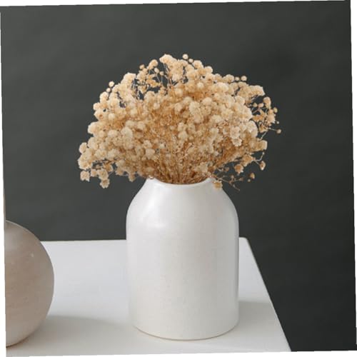 Ramo de 6 flores secas naturales de Babys Breath miniatura 4