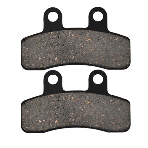 WOOSTAR Disque Plaquette de Frein Remplacement pour 110cc 125cc Taotao Apollo Chinois ATV 4 Roues Quad Dirt Pit Bike