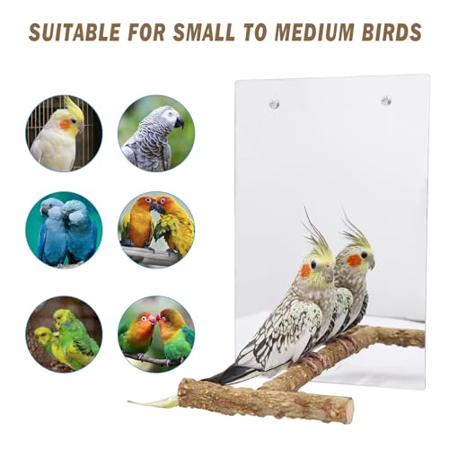 Image of Large Bird Stand Perch with a Mirror and Bells, Bird Toys, Parrot Perch Stand, Cage Accessories for African Grey Budgie Cockatiel Lovebird Conure Small to Medium
