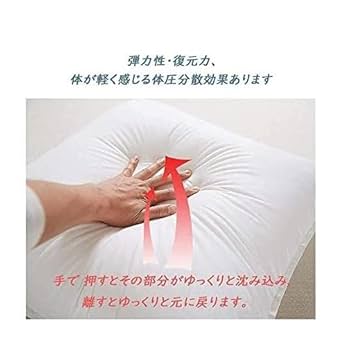Amazon.co.jp: 俺だけレベルアップな件 抱き枕 水篠旬 向坂雫