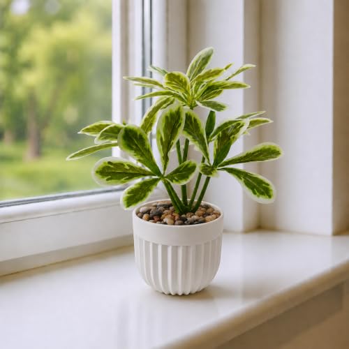 Image of CURATED CART Artificial Plant with Pot for Living Room, Home Decor, Office Tabletop & Indoor Decor, Fake Small Plant, Green Leaves Potted Plant, 24cm, Pack of 1