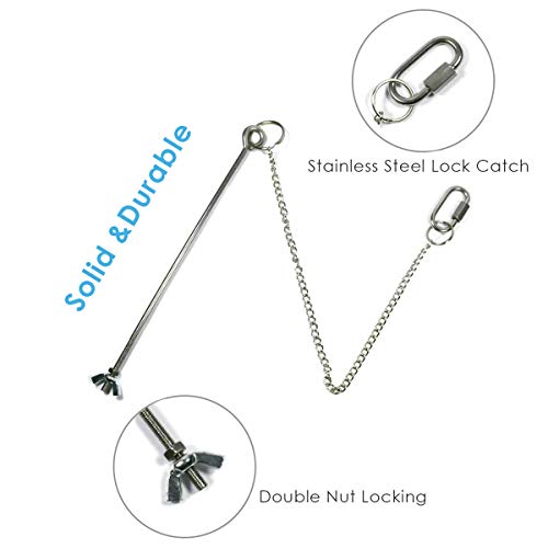 2 Stks Kip Groenten Spies Fruit Houder Voor Kippen Vogel Rvs Voedsel Houder Fruit Groente Stok Houder Vogels Opknoping… - Afbeelding 4