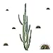 RoomMates RMK3860GM Cactus Peel and Stick Giant Wall Decals