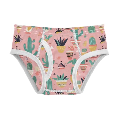Wusikd Cacti Succulents Boys' Underwear Cotton Cute Boys Briefs Soft Toddler Underwear 2T