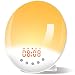 [2019 Upgraded] Wake Up Light, Nature Sunrise Simulation Alarm Clock, Recording Function, Snooze Function, 6 Colors Atmosphere Lamp, 9 Nature Sounds and FM Radio Clock for Kids Adults Bedrooms