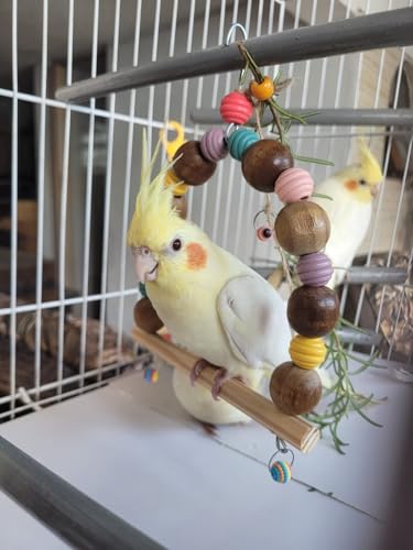 Balanço poleiro para todos os tipos de aves