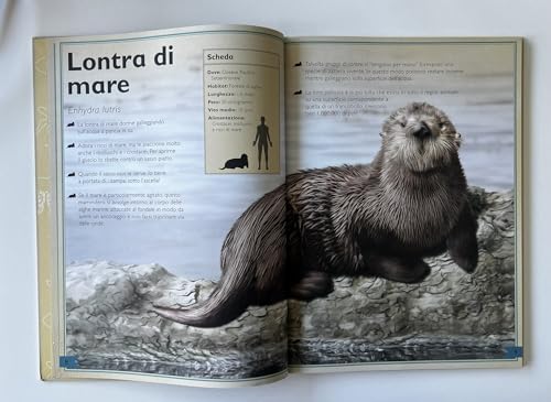 Il Magnifico Libro Del Mare - 4