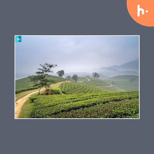 Exploring the Enchanting Sapa: Top Things to Do in Vietnam's Mountain Paradise Titelbild