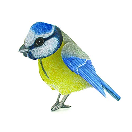 Mésange bleue Carte pop-up 3 D - Carte de vœux faite avec amour pour les amis des oiseaux