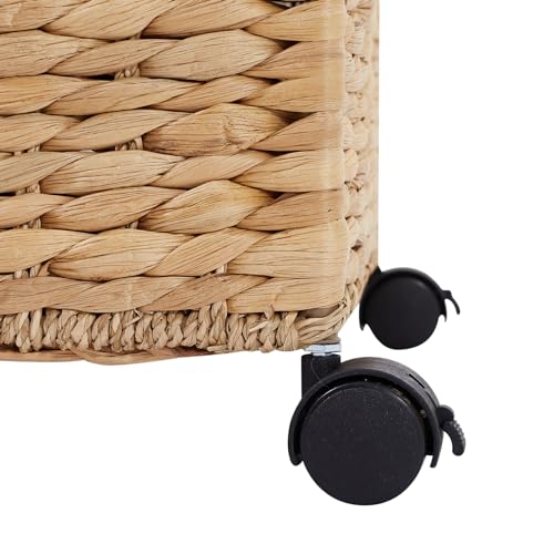 URFORESTIC Organizador de caixa de armazenamento de arquivos de algas marinhas | Organizadores de ca