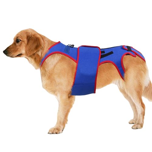 Soporte para la espalda del perro, soporte espinal para soporte de espalda de perro pequeño, pulsera para la espalda de mascota para IVDD | Férula para la espalda 'animal doméstico