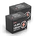 VEVOR 2 Pack 12V 100Ah LiFePO4 Battery, Up to 15000 Cycles, Deep Cycle Lithium Iron Phosphate Battery with Built-in BMS, Low Temp Protection, 10 Years Lifetime, for Solar Off-Grid Home Energy Storage