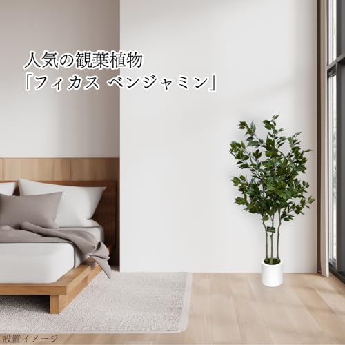 Branch leaves フェイクグリーン フィカス ベンジャミン 高さ150cm LTR-138-15001＃A 本物のようなリアルな質感 インテリア 存在感のある人工観葉植物 Ficus Benjamina [5]