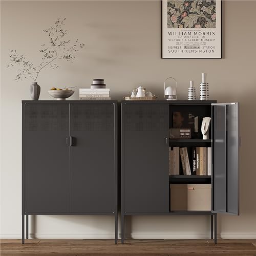 Image of Metal Storage Cabinet,2 Door TV Stand, Metal Mesh Accent Cabinet