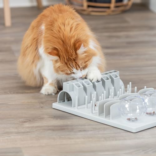Trixie Katzenspielzeug Cat Activity Fun Board XXL, Intelligenzspielzeug für große Katzen, Strategie-Spiel zur geistigen Förderung & spielerischem Lernen, 30 × 40 cm - 45891