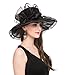 SAFERIN Women's Organza Church Kentucky Derby Fascinator Bridal Tea Party Wedding Hat(GZ-Beige Dot)