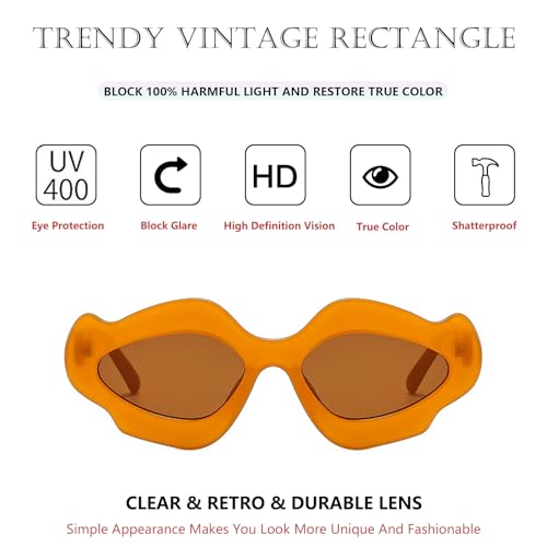 Trendy Irregular Cat Eye Sunglasses for Women Men Unique Flower Shape Design Retro Candy Colors Eyewear UV4002