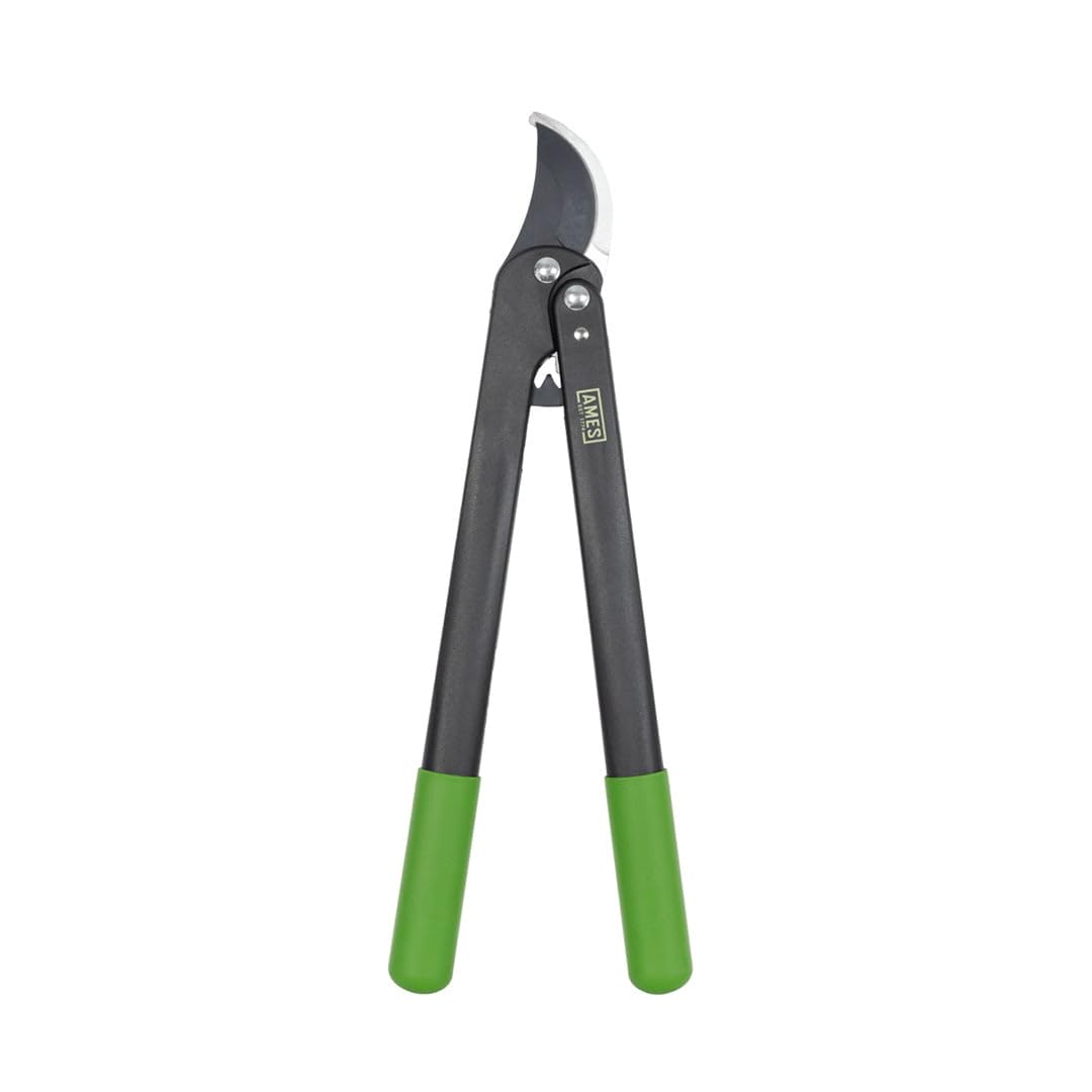 AMES Geared Bypass Loppers – High-Leverage Loppers for Live Branch Pruning