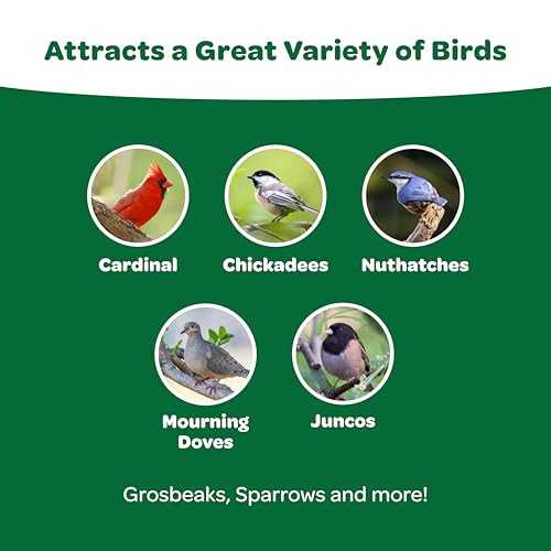 Kaytee Essentials Blend with Black Oil Sunflower, Cracked Corn and Millet, Wild Bird Food Seed for Cardinals, Jays, Finches, Chickadees, Nuthatches, Woodpeckers, Grosbeaks, Juncos, 9.5 Pounds - Image 3