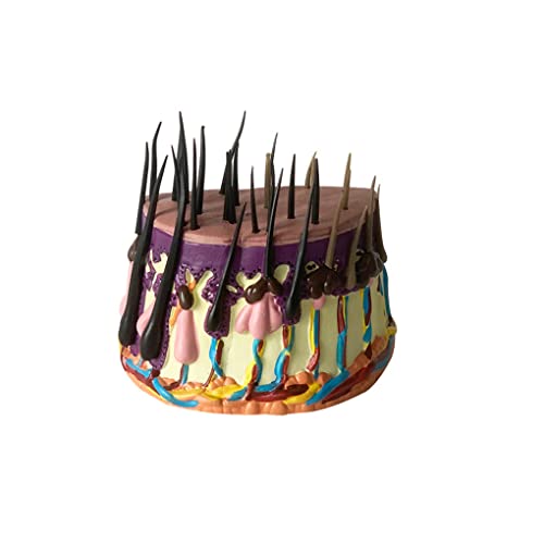 畆fl̖єUfU畆fߒэfwPP⏕P12 X 8 X 12 Cm (A)