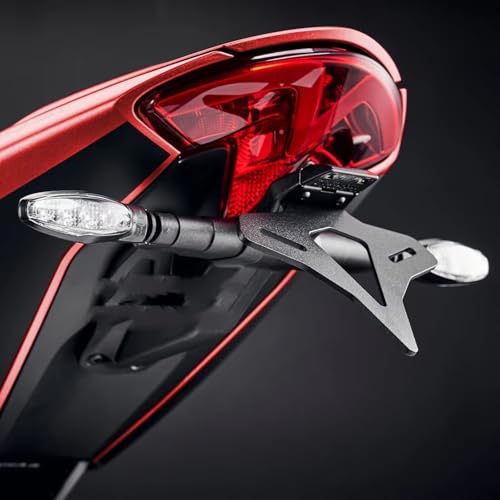 Support plaque immatriculation Triumph Speed Triple 1200RR pour balade - 6