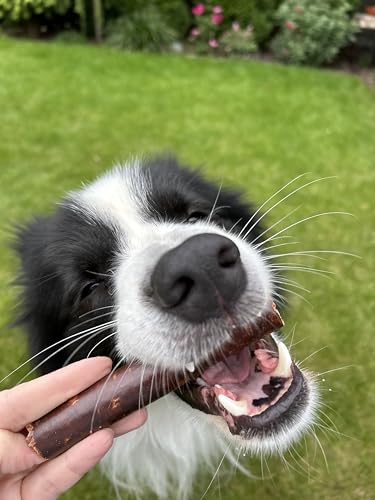 Lucze, Welpensnacks für Hunde, Hypoallergenic Leckerlis 30 Stück x 12cm, Natürliche Kaurollen, Trockenfleisch in Kollagenhülle, Eigenherstellung