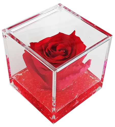 Rosa Rossa Vera Regalo Donna Anniversario Natale Festa Pensiero Mamma Fidanzata Cerimonia Dono Eterna Stabilizzata Profumata 8 cm