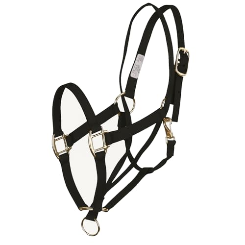 Basic Pull Back Trainingshalfter schwarz