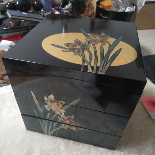 W Rh 6.0 pRid ԕ ˓cOuj