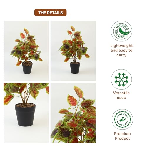 Image of Habere India-All the Cultures Fabricating India Artificial Plant with Pot for Home Decor | Fake Plants for Living Room Decoration | Artificial Plants for Decoration (Design 01; L21 x W21 X H39 cm)
