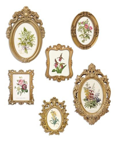 XIAOAIKA Vintage Gold Framed Wall Art Set of 6, 3D