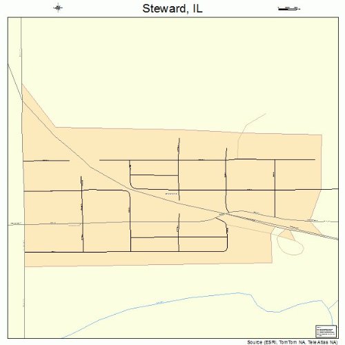 Large Street & Road Map of Steward, Illinois IL Printed poster size