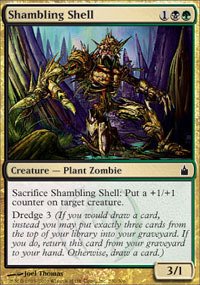 Magic The Gathering - Shambling Shell - Ravnica