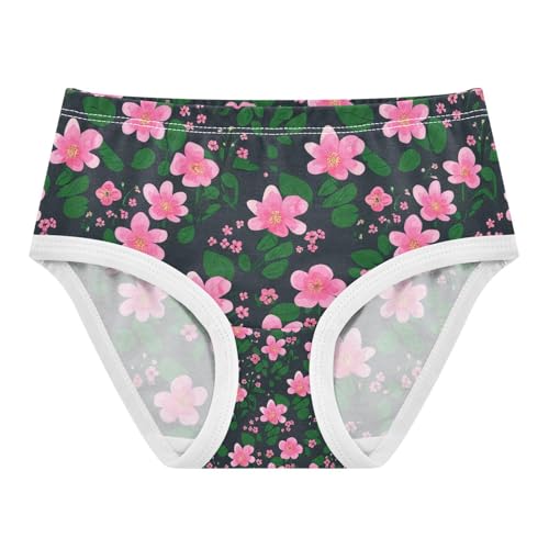 Floral Pink Blossoms Toddler Girls's Underwear 2T 202c1140