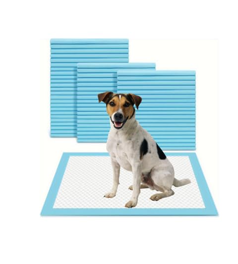 Disposable Dog Puppy Pads Toilet Pee Training Mat Leak Proof Highly Premium Absorbent Anti Slip Pack of 50 (60 x 45 cm) Blue