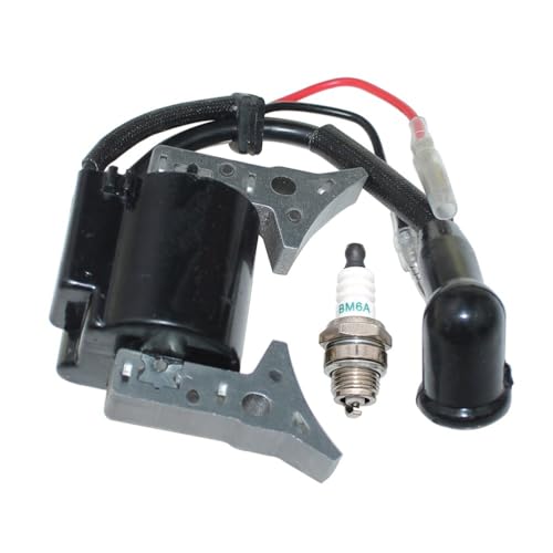Bobine d'allumage haute performance pour GP450 et B45 - 5
